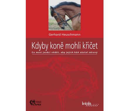 Kniha -KDYBY KONĚ MOHLI KŘIČET-