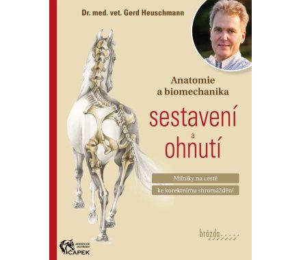 Kniha -ANATOMIE A BIOMECHANIKA SESTAVENÍ A OHNUTÍ-