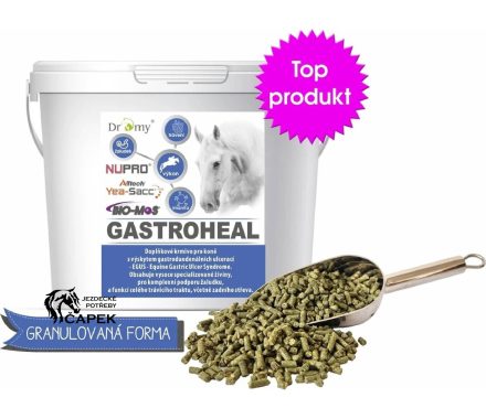 Dromy -GASTROHEAL CONCENTRATE-