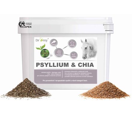 Dromy -PSYLLIUM+CHIA-